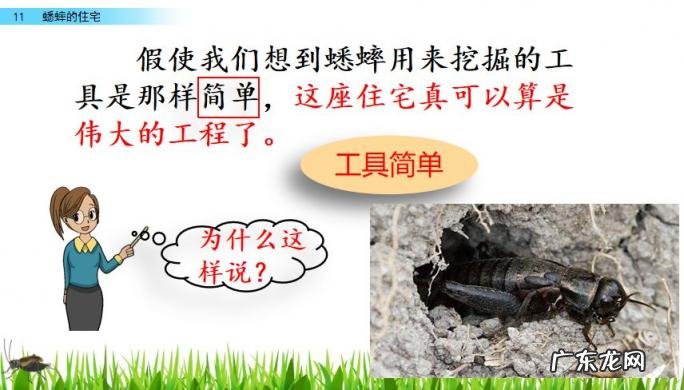 扒组词 多音字 扒组词 多音字和拼音