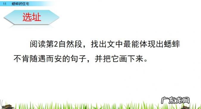 扒组词 多音字 扒组词 多音字和拼音