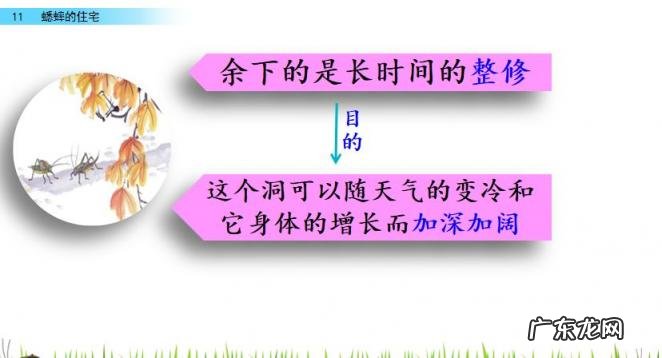 扒组词 多音字 扒组词 多音字和拼音