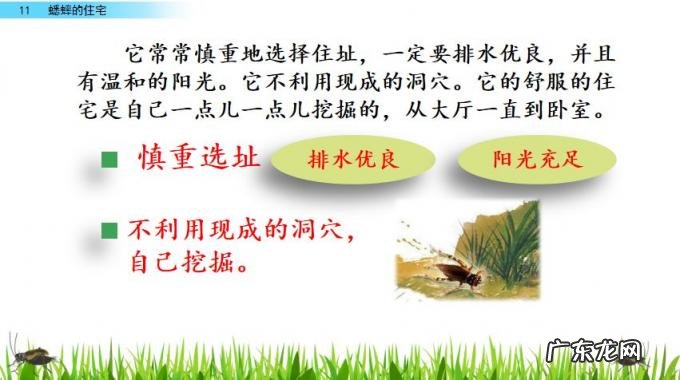 扒组词 多音字 扒组词 多音字和拼音