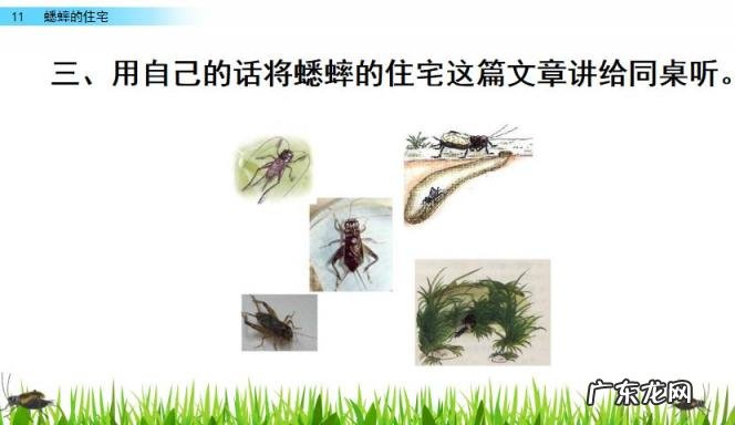 扒组词 多音字 扒组词 多音字和拼音