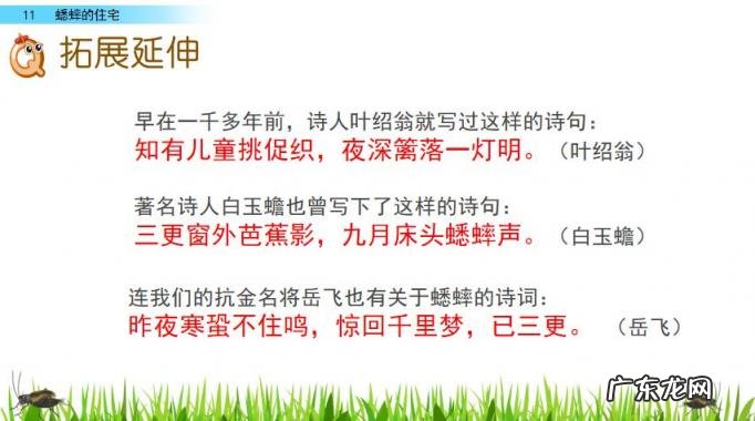 扒组词 多音字 扒组词 多音字和拼音