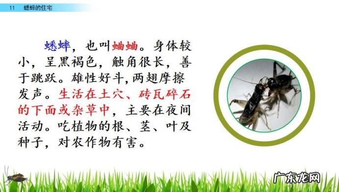 扒组词 多音字 扒组词 多音字和拼音