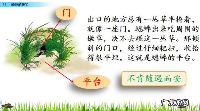 扒组词 多音字 扒组词 多音字和拼音