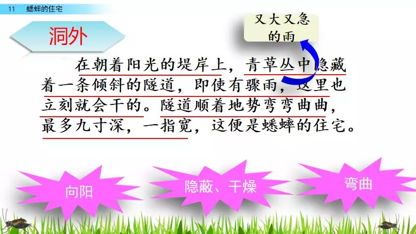 扒组词 多音字 扒组词 多音字和拼音