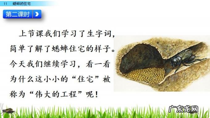 扒组词 多音字 扒组词 多音字和拼音