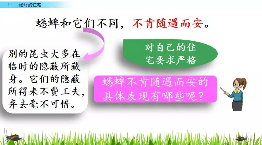 扒组词 多音字 扒组词 多音字和拼音