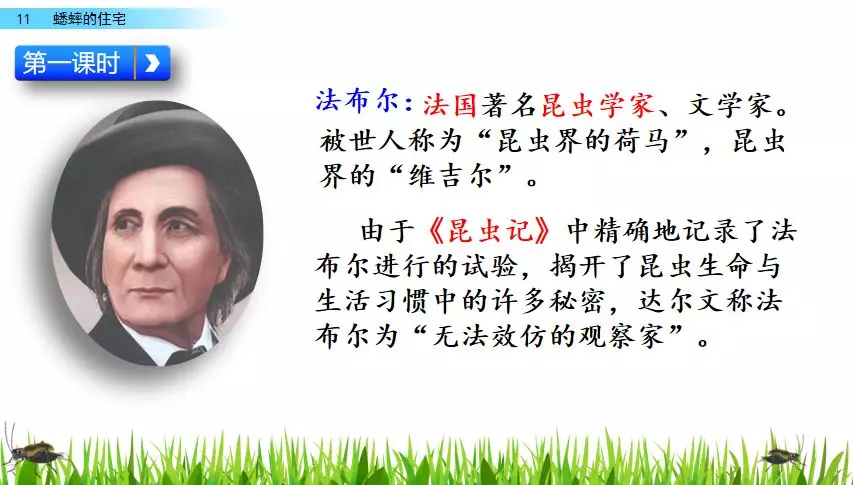 扒组词 多音字 扒组词 多音字和拼音