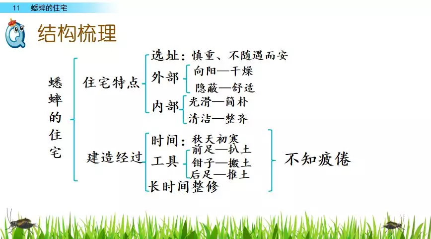 扒组词 多音字 扒组词 多音字和拼音