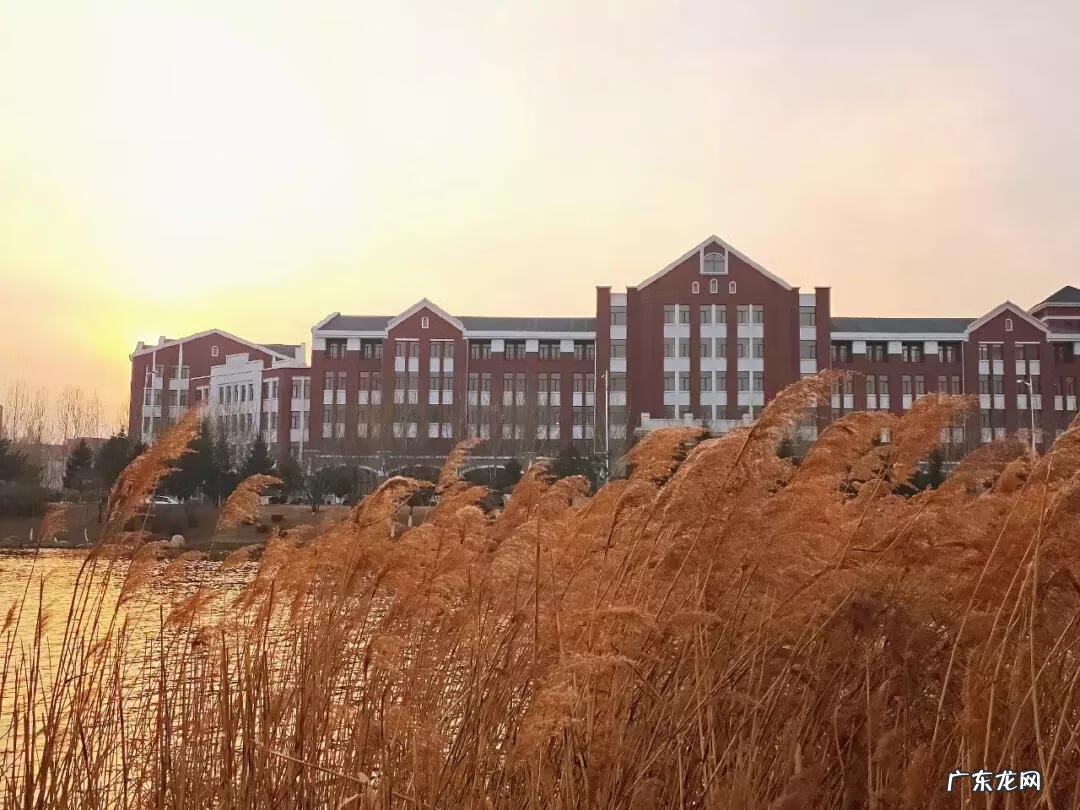 辽宁科技大学专科专业有哪些 辽宁科技大学专科专业