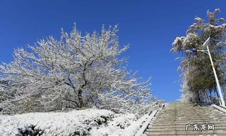 辽宁科技大学专科专业有哪些 辽宁科技大学专科专业