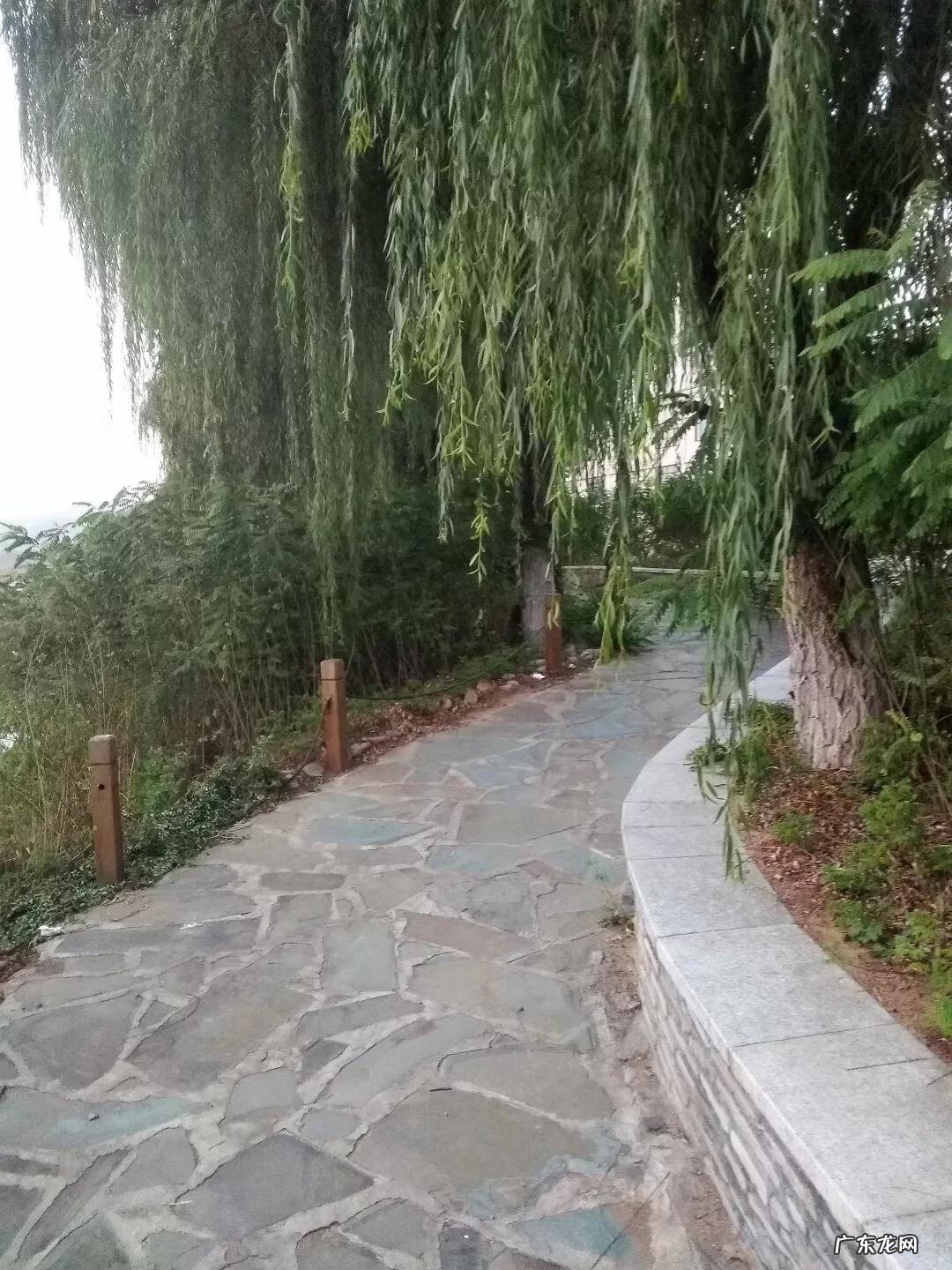 辽宁科技大学专科专业有哪些 辽宁科技大学专科专业