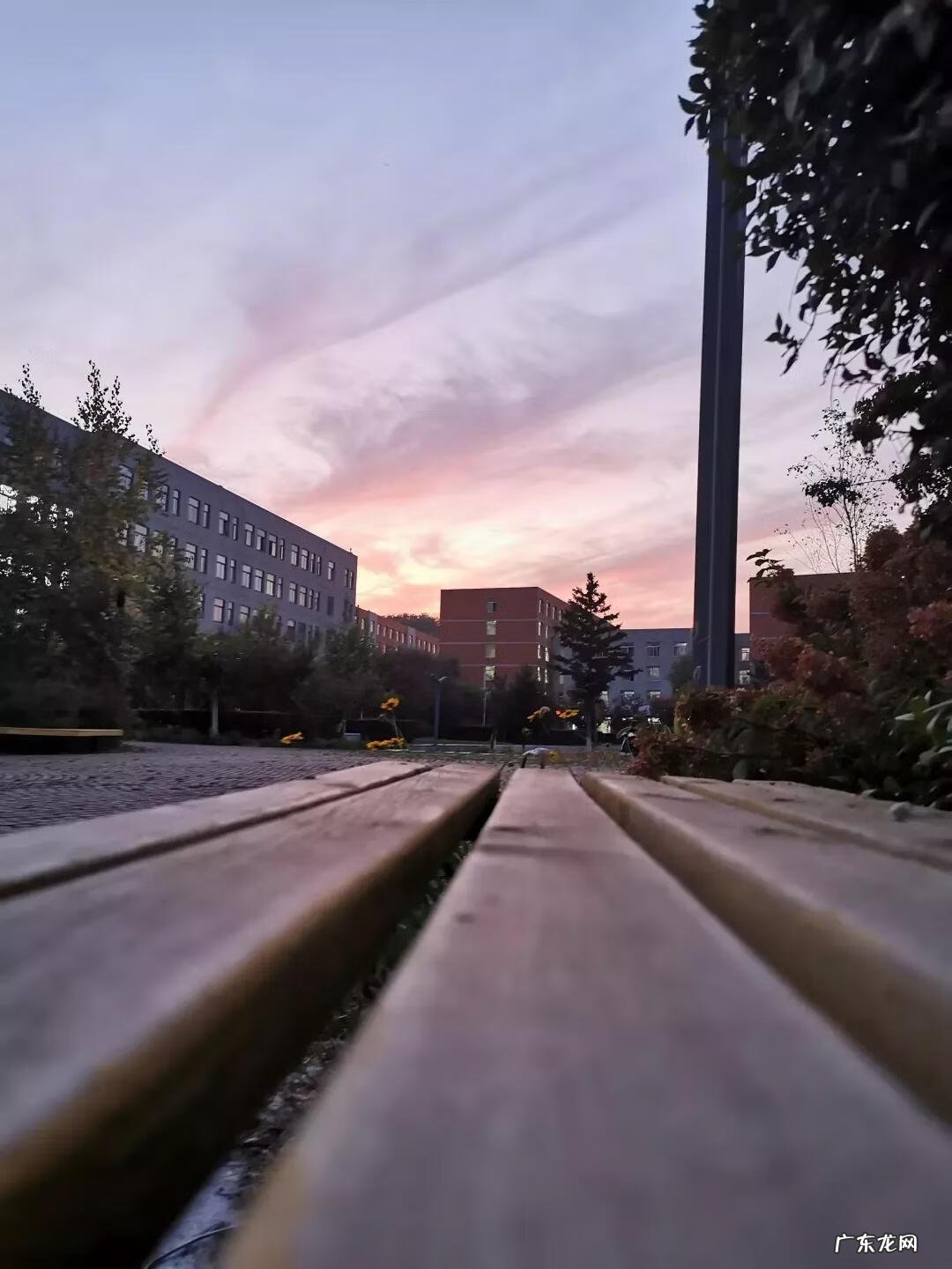 辽宁科技大学专科专业有哪些 辽宁科技大学专科专业