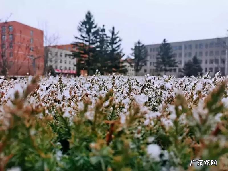 辽宁科技大学专科专业有哪些 辽宁科技大学专科专业