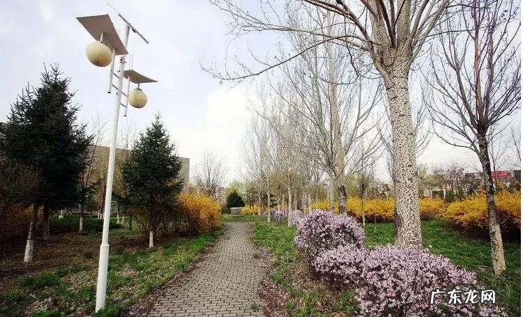 辽宁科技大学专科专业有哪些 辽宁科技大学专科专业