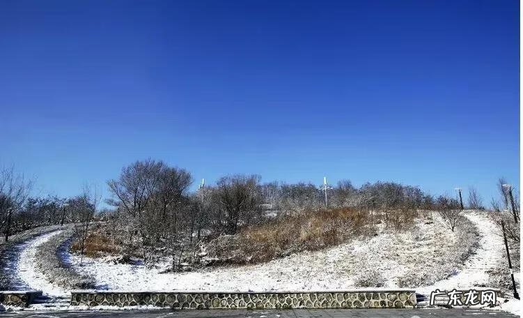 辽宁科技大学专科专业有哪些 辽宁科技大学专科专业