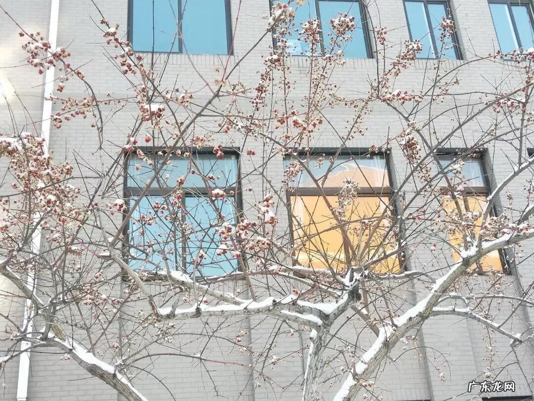 辽宁科技大学专科专业有哪些 辽宁科技大学专科专业