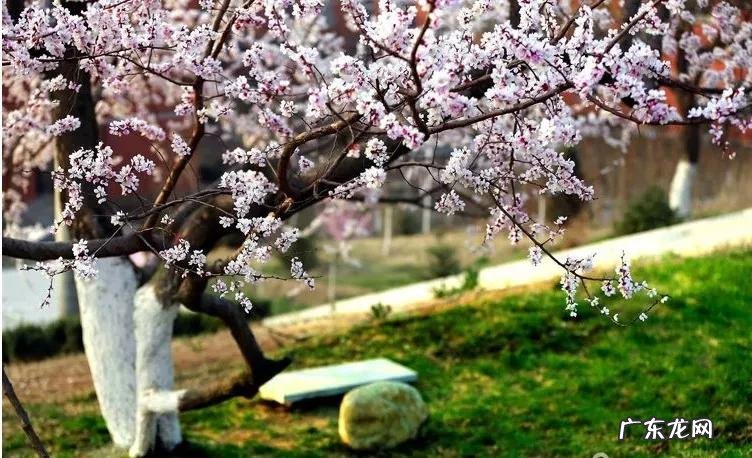 辽宁科技大学专科专业有哪些 辽宁科技大学专科专业