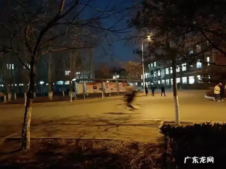 辽宁科技大学专科专业有哪些 辽宁科技大学专科专业