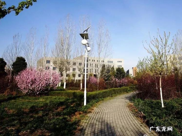 辽宁科技大学专科专业有哪些 辽宁科技大学专科专业