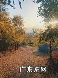 辽宁科技大学专科专业有哪些 辽宁科技大学专科专业