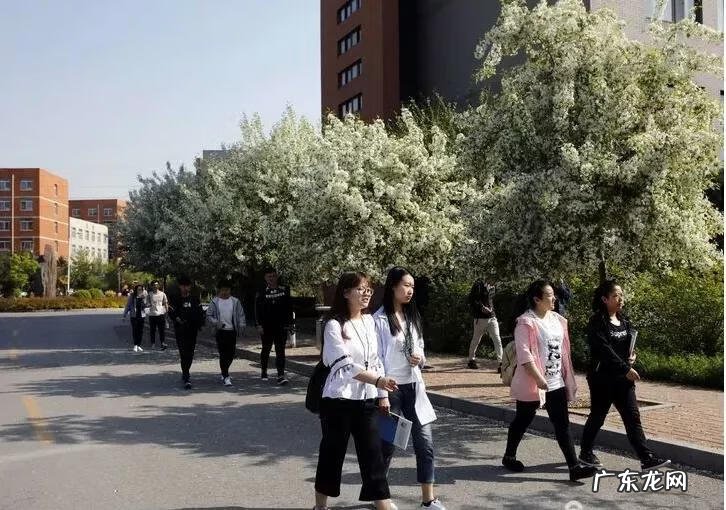 辽宁科技大学专科专业有哪些 辽宁科技大学专科专业