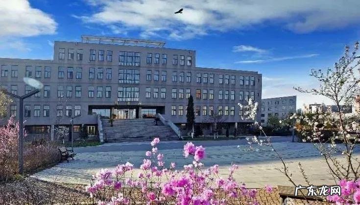 辽宁科技大学专科专业有哪些 辽宁科技大学专科专业