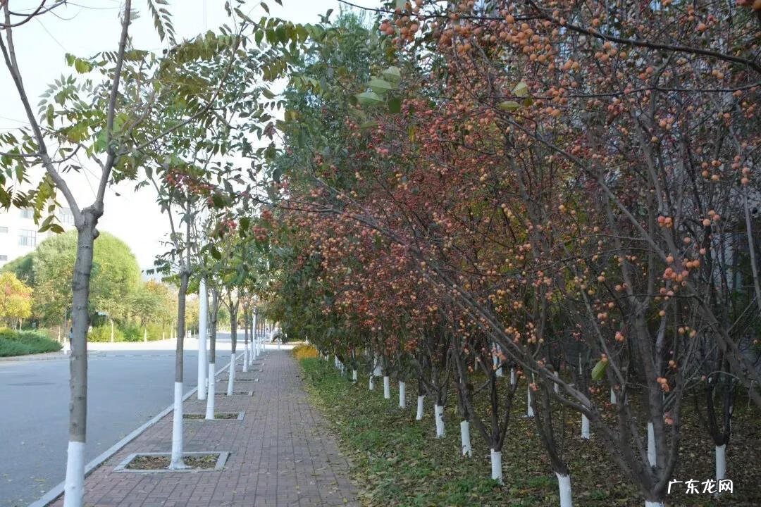 辽宁科技大学专科专业有哪些 辽宁科技大学专科专业