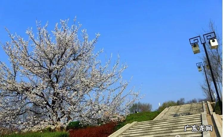 辽宁科技大学专科专业有哪些 辽宁科技大学专科专业