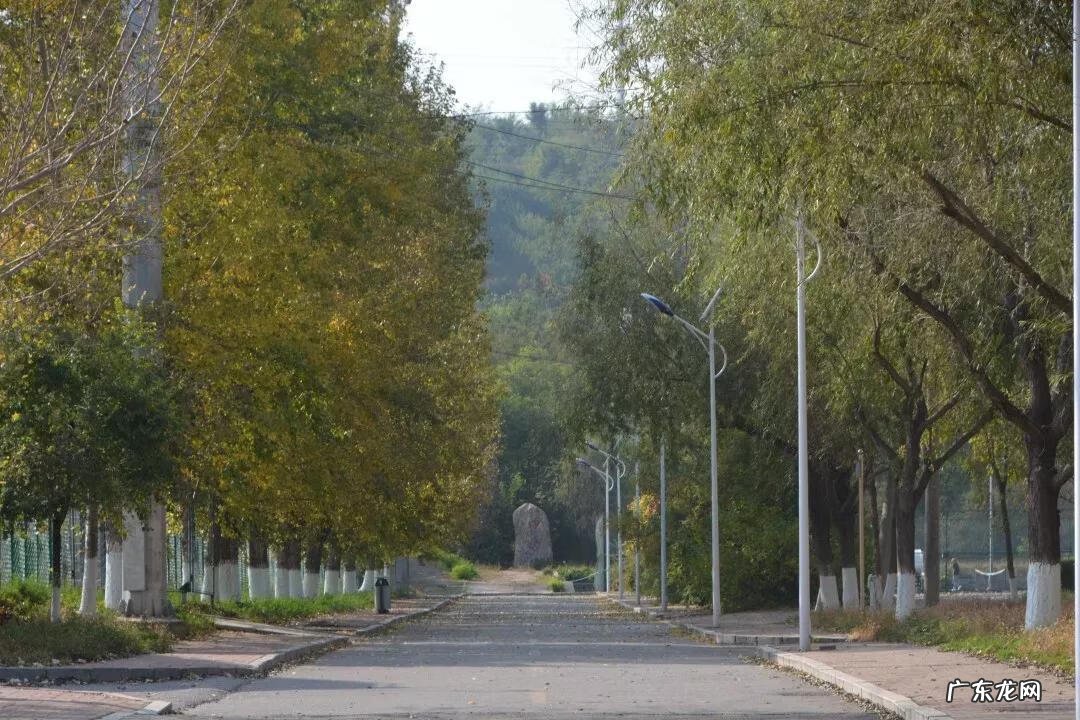 辽宁科技大学专科专业有哪些 辽宁科技大学专科专业