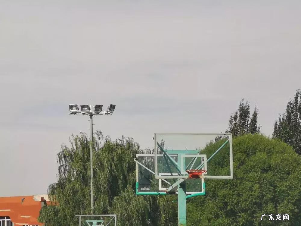 辽宁科技大学专科专业有哪些 辽宁科技大学专科专业