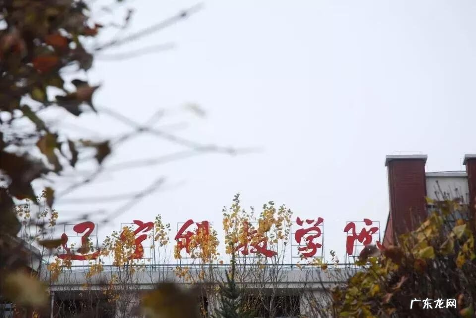 辽宁科技大学专科专业有哪些 辽宁科技大学专科专业