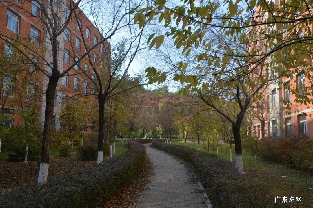 辽宁科技大学专科专业有哪些 辽宁科技大学专科专业