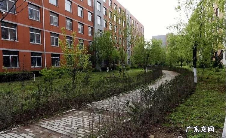 辽宁科技大学专科专业有哪些 辽宁科技大学专科专业