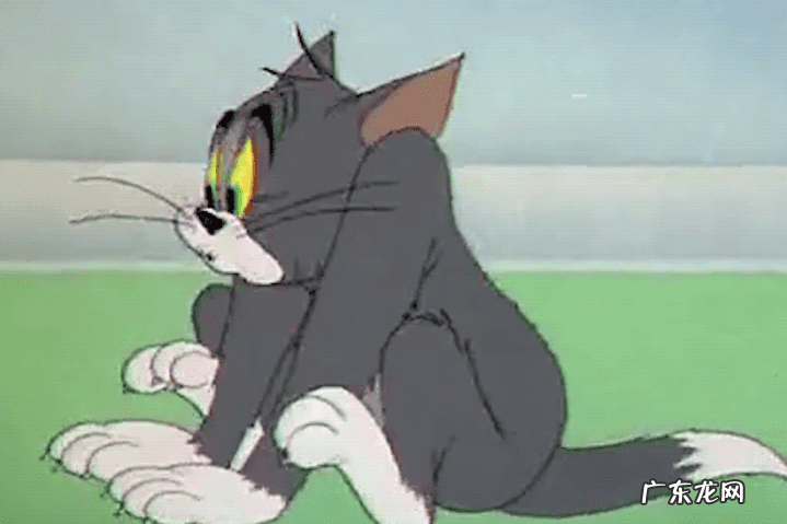 猫和老鼠新版 猫和老鼠老鼠的麻烦