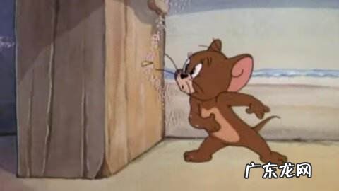 猫和老鼠新版 猫和老鼠老鼠的麻烦