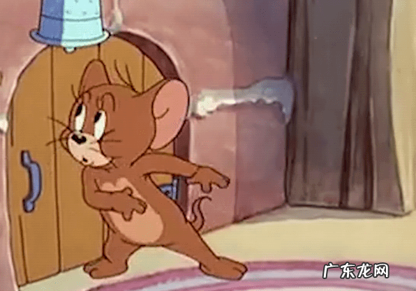 猫和老鼠新版 猫和老鼠老鼠的麻烦