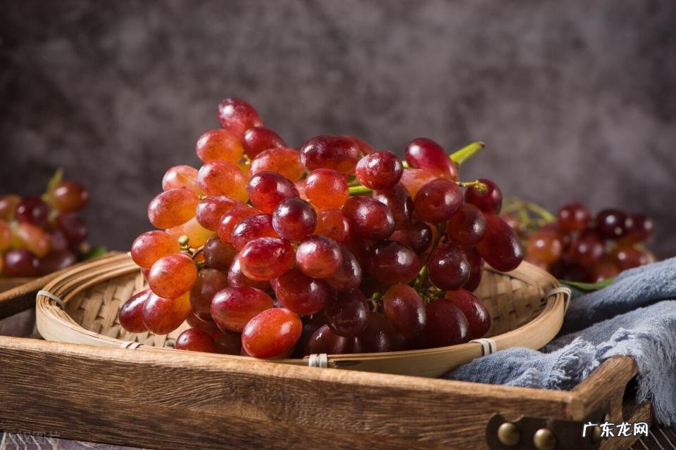 巨峰葡萄的产地主要在哪里 巨峰葡萄产地哪里最多