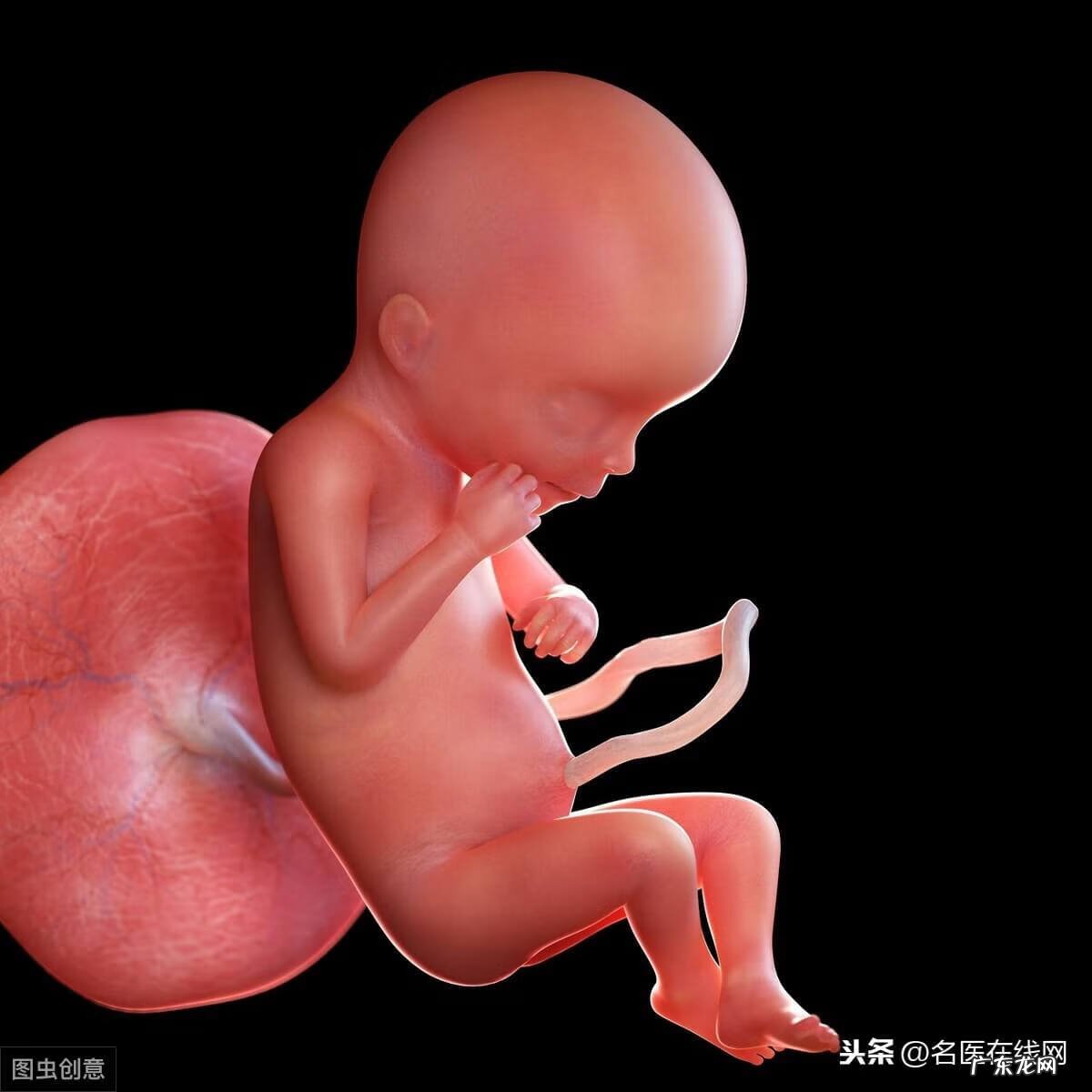 一顿吃一个胎盘可不可以 吃胎盘会感染朊病毒吗