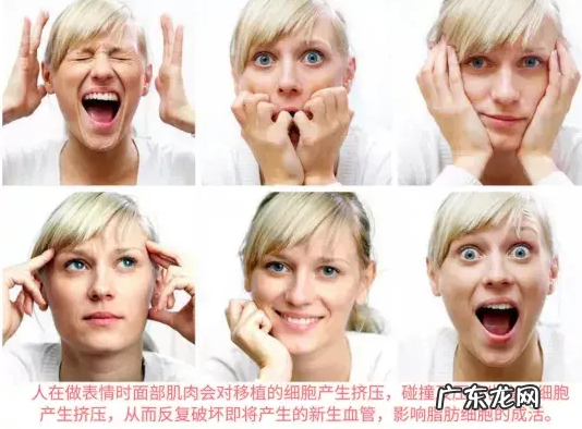 影响移植脂肪细胞成活的因素