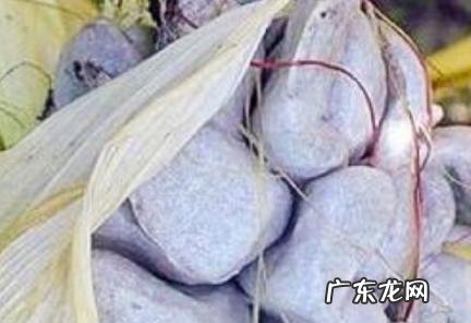 玉米黑粉菌怎么吃 玉米黑粉菌怎么吃窍门