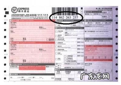 快递单号快速查询 邮政物流查询快递单号