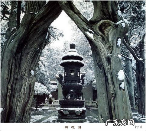 关于故宫的介绍词 简要介绍故宫