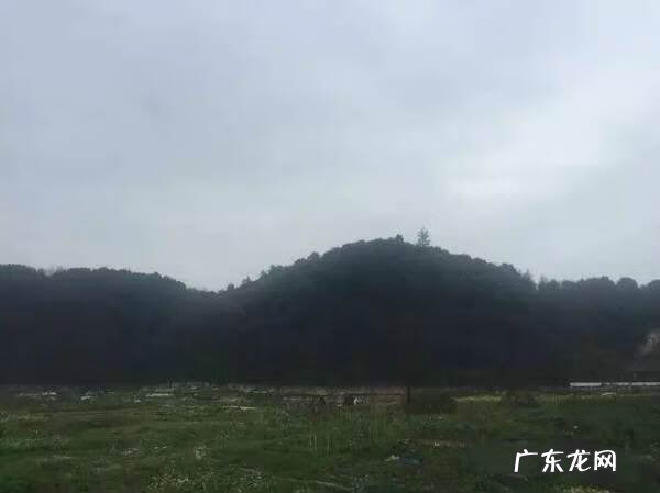 风水的神奇 绍兴风水大师