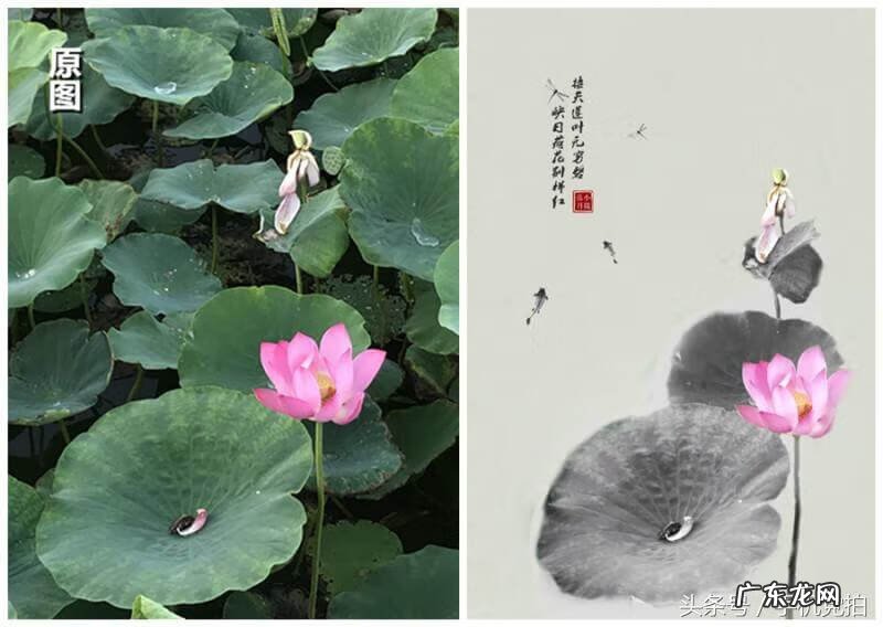 水滴黑白画 黑白水墨中国风水滴