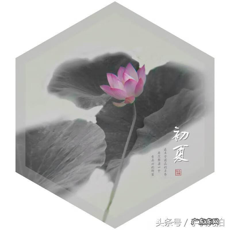 水滴黑白画 黑白水墨中国风水滴