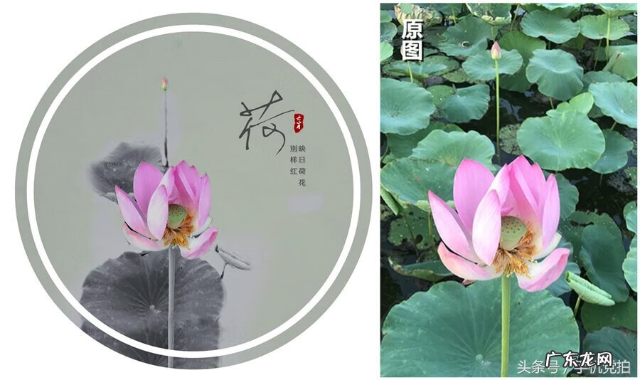 水滴黑白画 黑白水墨中国风水滴