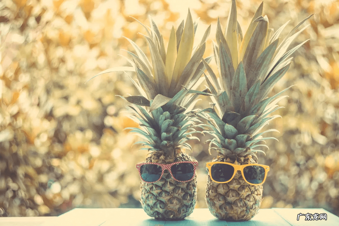 凤梨和菠萝有什么不一样 菠萝与凤梨区别