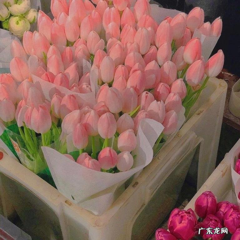 给姐姐的备注可爱搞怪 给一家人的特别备注名称