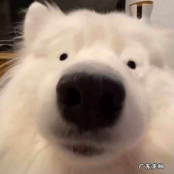 给姐姐的备注可爱搞怪 给一家人的特别备注名称